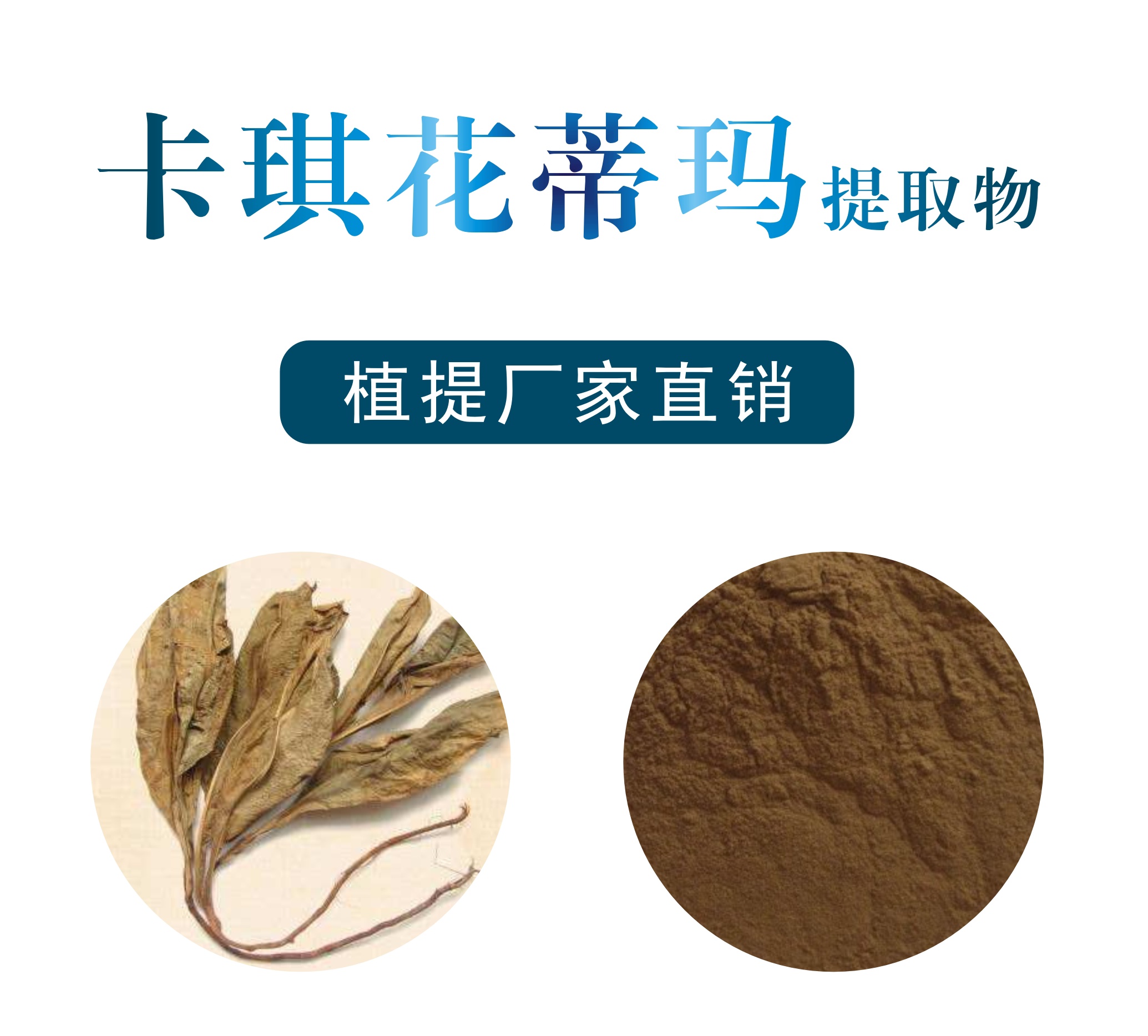 卡琪花蒂玛提取物,Kaqihua Tima extract