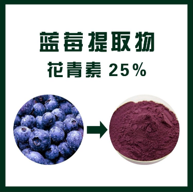 蓝莓提取物,Blueberry extract