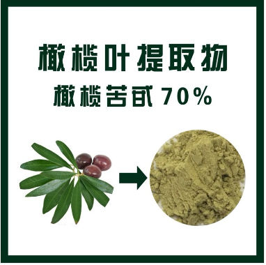 橄榄叶提取物,Olive leaf extract