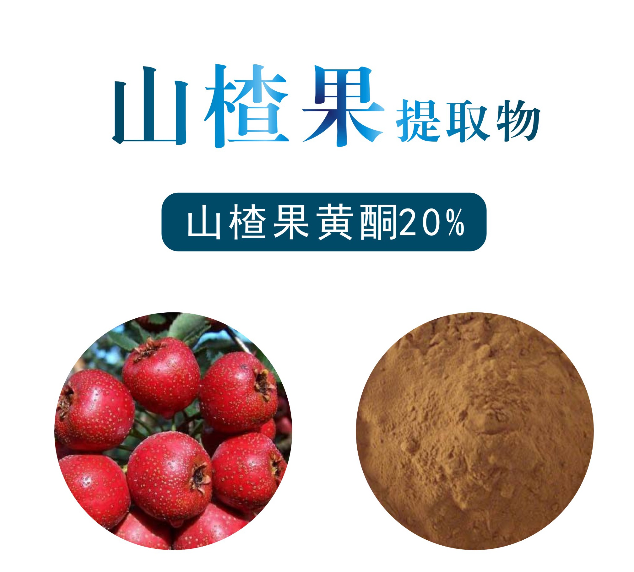 山楂果提取物,Hawthorn fruit extract