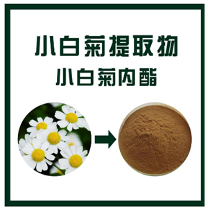 小白菊提取物,Small Chrysanthemum Extract