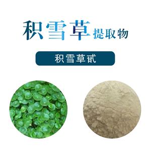 積雪草提取物,Hydrocotyle asiatica extract