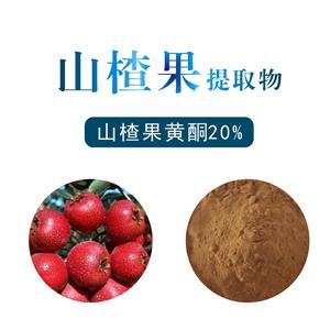 山楂果提取物,Hawthorn fruit extract