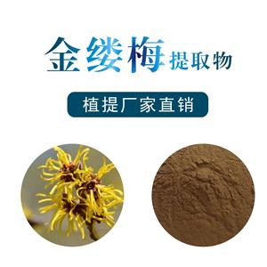 金缕梅提取物,Hamamelis extract