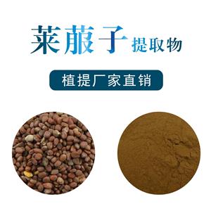 莱菔子提取物,Radish seed Extract