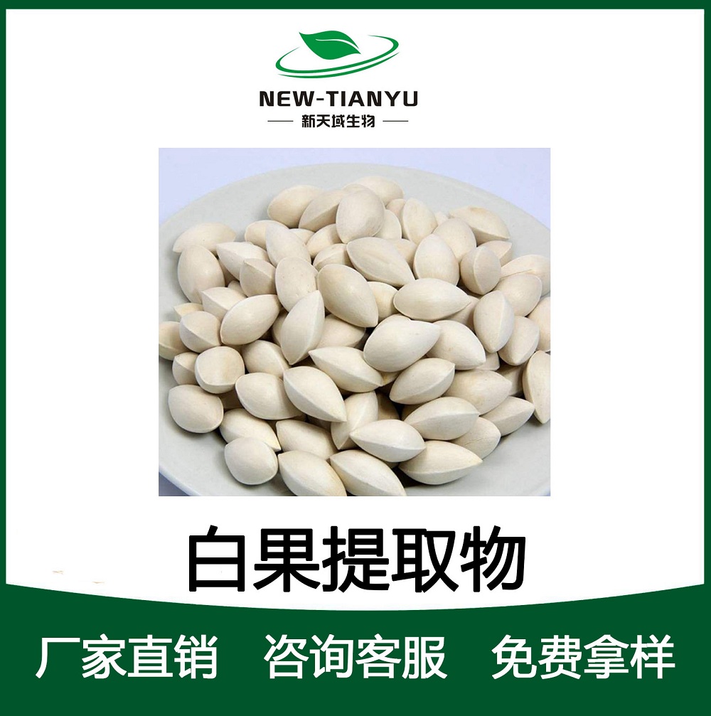 白果提取物,Ginkgo Semen。