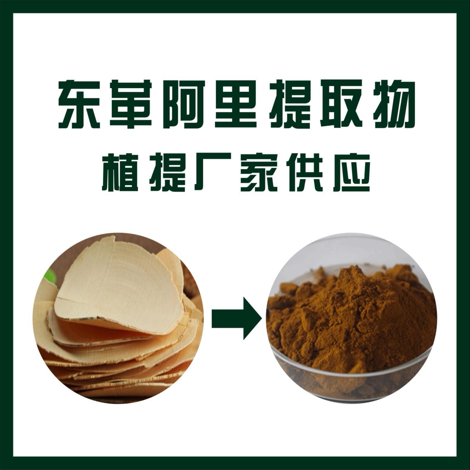 东革阿里提取物,Tongkat Ali Extract