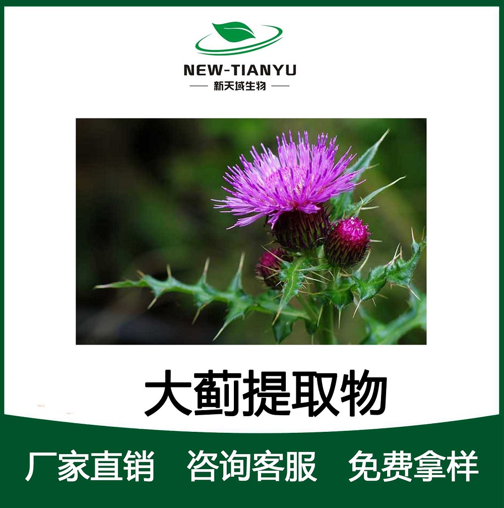 大蓟提取物,Thistle extract