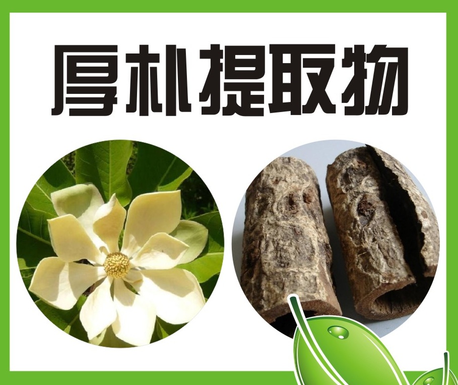 厚樸提取物,Magnolia officinalis extract