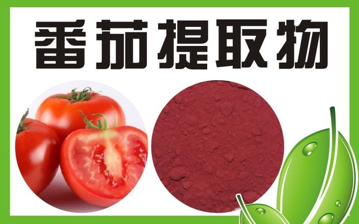 番茄提取物,Tomato extract