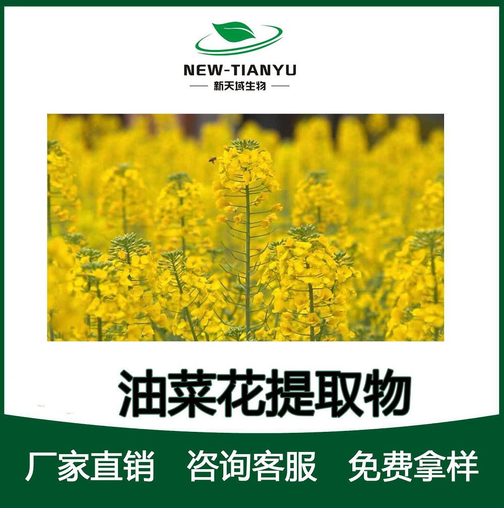 油菜花提取物,Rape flower extract