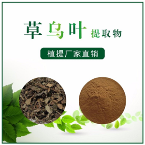 草乌叶提取物,Aconite leaf extract
