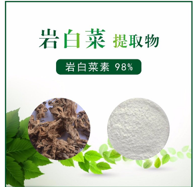 岩白菜提取物,Chinese cabbage extract