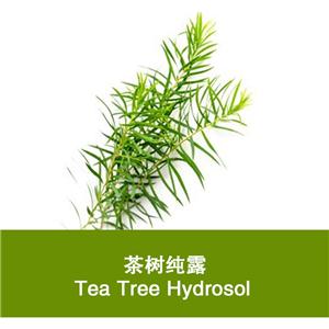 茶树纯露,Tea Tree Hydrosol
