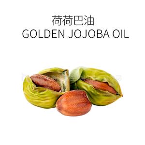 荷荷巴油,Golden Jojoba Oil