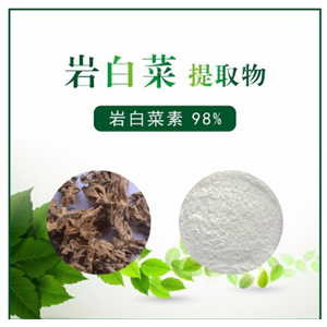 岩白菜提取物,Chinese cabbage extract