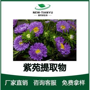 紫菀提取物,Aster tataricus L.f.Extractive