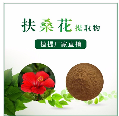 扶桑花提取物,Chinese mulberry flower extract