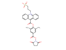 吖啶酯,NSP-DMAE-NHS