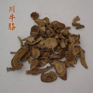 川牛膝提取物,Radix Cyathulae extract