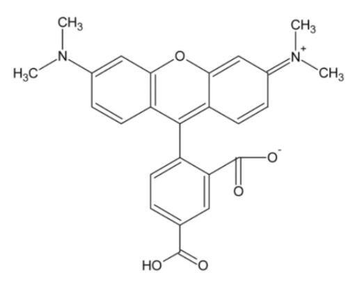 5-羧基四甲基罗丹明，5-TAMRA,5-Carboxytetramethylrhodamine