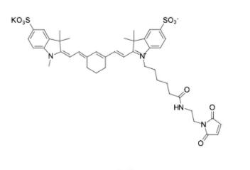 磺酸Cyanine5标记马来酰亚胺,Sulfo-Cyanine5 maleimide,Sulfo-Cy5 maleimide,Sulfo-Cy5 Mal