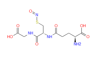 亚硝基谷胱甘肽,S-Nitrosoglutathione