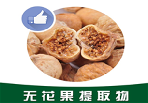 无花果提取物,Fig extract