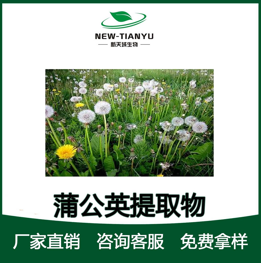 蒲公英提取物,Dandelion  Extract