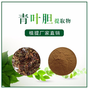 青叶胆提取物,Green leaf bile extract