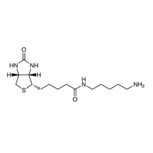 生物素-氨基，5-(氨基维生素)戊胺,Biotin-C5-Amine,5-(Biotinamido)pentylamine