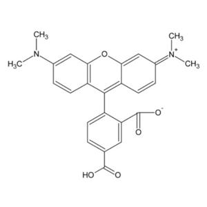 5-羧基四甲基罗丹明，5-TAMRA,5-Carboxytetramethylrhodamine