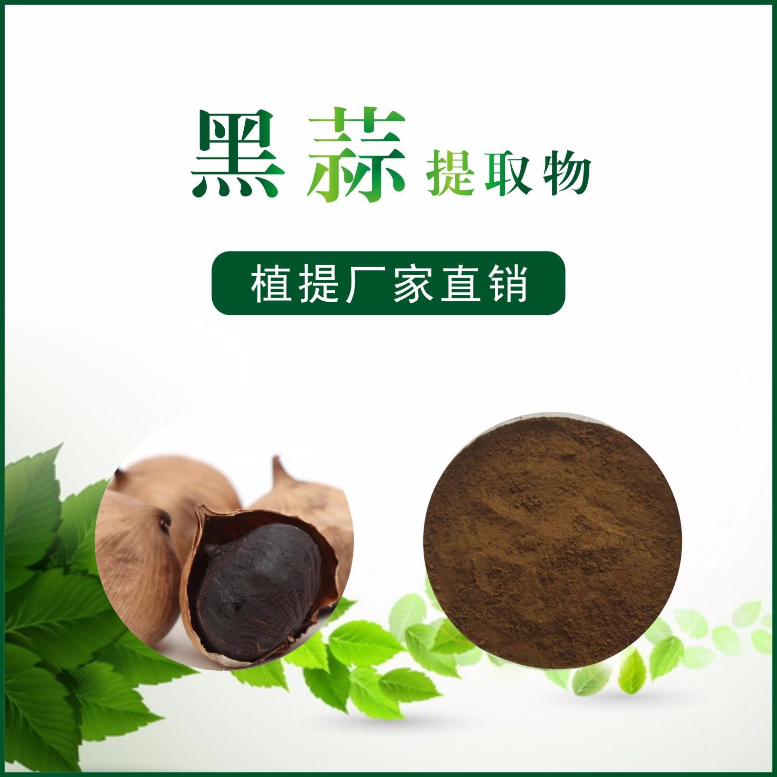 黑蒜提取物,Black garlic extract