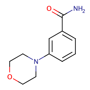 3-吗啉苯甲酰胺,3-MorpholinobenzaMide