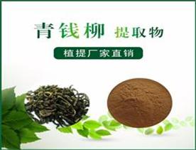 青钱柳提取物,Cyclocarya paliurus extract