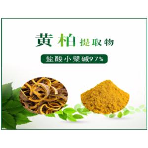 黄柏提取物,Phellodendron amurense extract