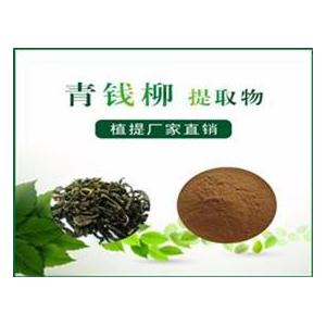 青钱柳提取物,Cyclocarya paliurus extract