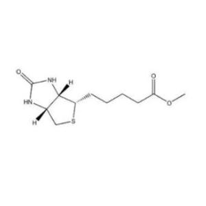 D-生物素甲酯，D-biotin methyl ester,D-biotin methyl ester