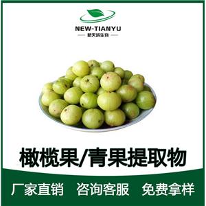 橄榄果提取物,Olive fruit  extract