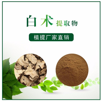 白术提取物,Atractylodes macrocephala extract