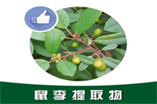 鼠李提取物,Rhamnus extract