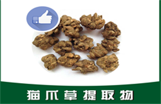 猫爪草提取物,Ranunculus ternatus extract