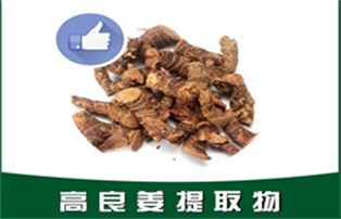 高良姜提取物,Alpinia officinarum extract