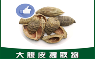 大腹皮提取物,Pericarpium Arecae extract