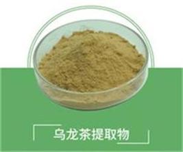 乌龙茶提取物,Oolong tea extract