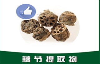 藕節(jié)提取物,Lotus root node extract