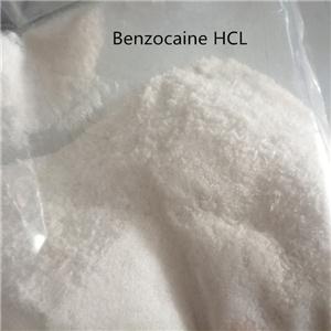 普魯卡因 利多卡因 苯佐卡因,Procaine Lidocaine benzocaine Tetracaine