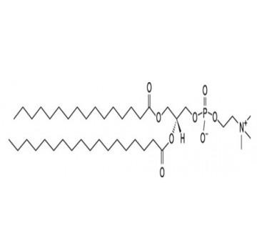 氢化卵磷脂,Lecithin Hydrogenated