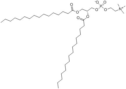 二棕榈酰磷酯酰胆碱,1,2-DIHEXADECANOYL-SN-GLYCERO-3-