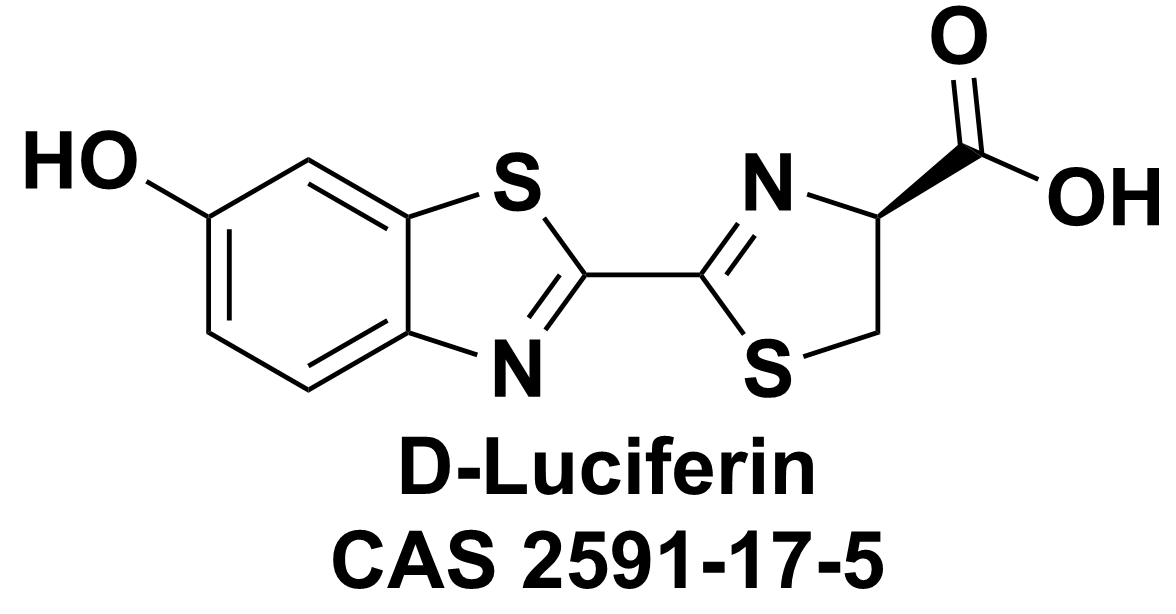 D-荧光素,D-LUCIFERIN